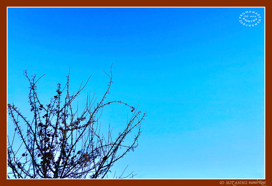 Ciel d'Hiver 2025 -2- -- 13/02/25