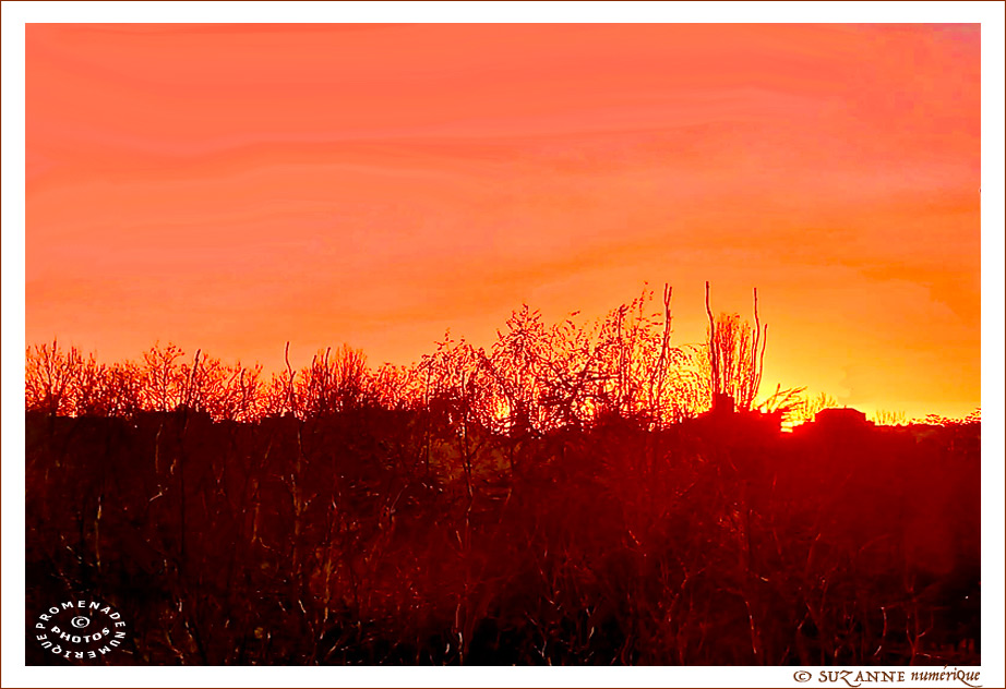 � SUZANNE | CIEL_DECEMBRE_857e