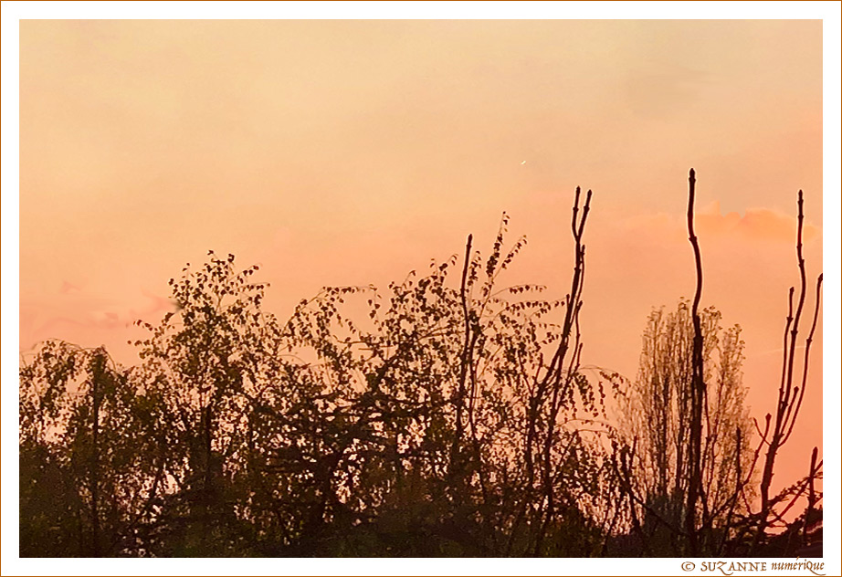  SUZANNE | CIEL_NOVEMBRE_0356