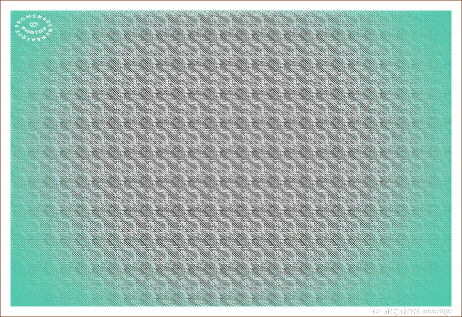 � SUZANNE | CREATION_ABSTRAIT_17_07_27