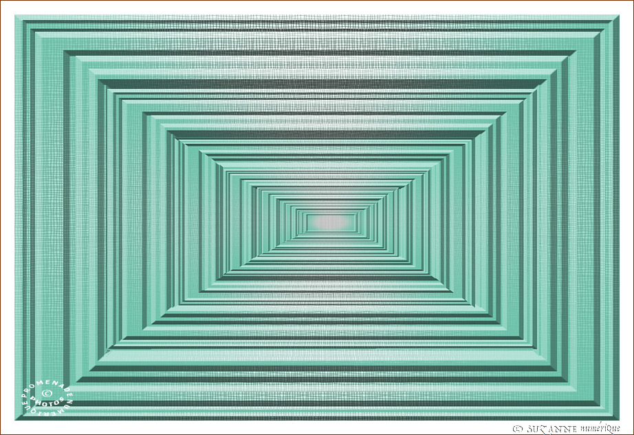 � SUZANNE | CREATION_ABSTRAIT_17_07_30