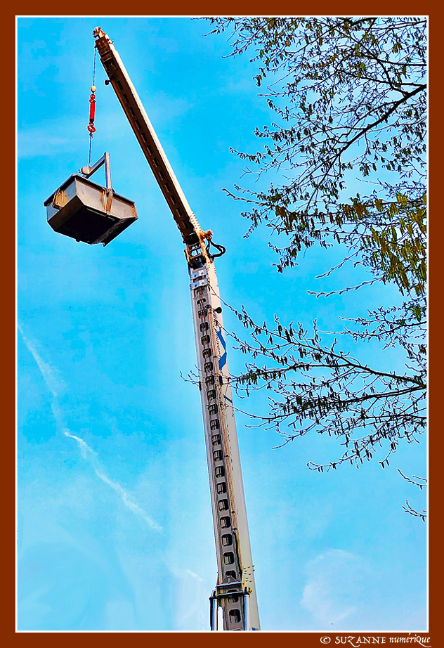 Livraison pour Saint Nicolas 2025 -- 05/12/25