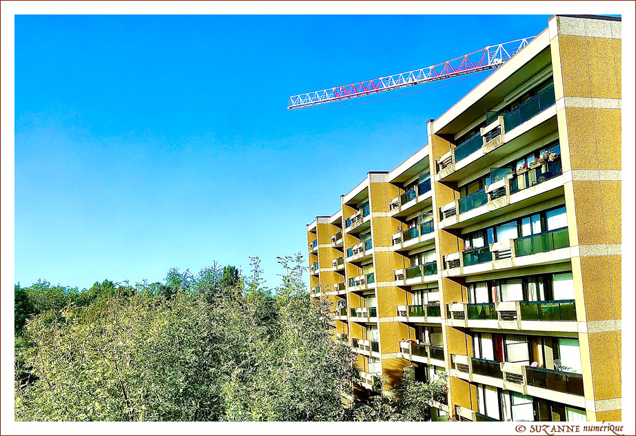  SUZANNE | GRUE_DE_CHANTIER_9948_TOIT