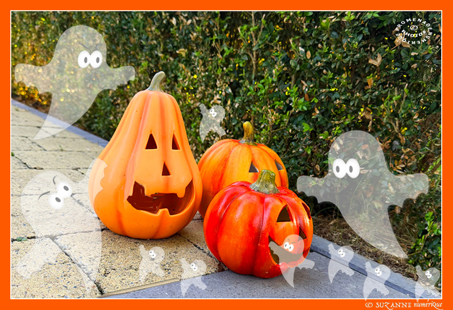 © SUZANNE | HALLOWEEN_CITROUILLES_1323 © SUZANNE | HALLOWEEN_CITROUILLES_1323