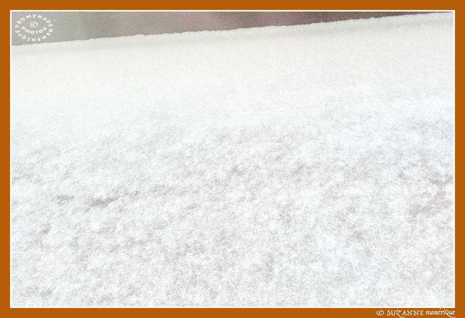 � SUZANNE | NEIGE_0123