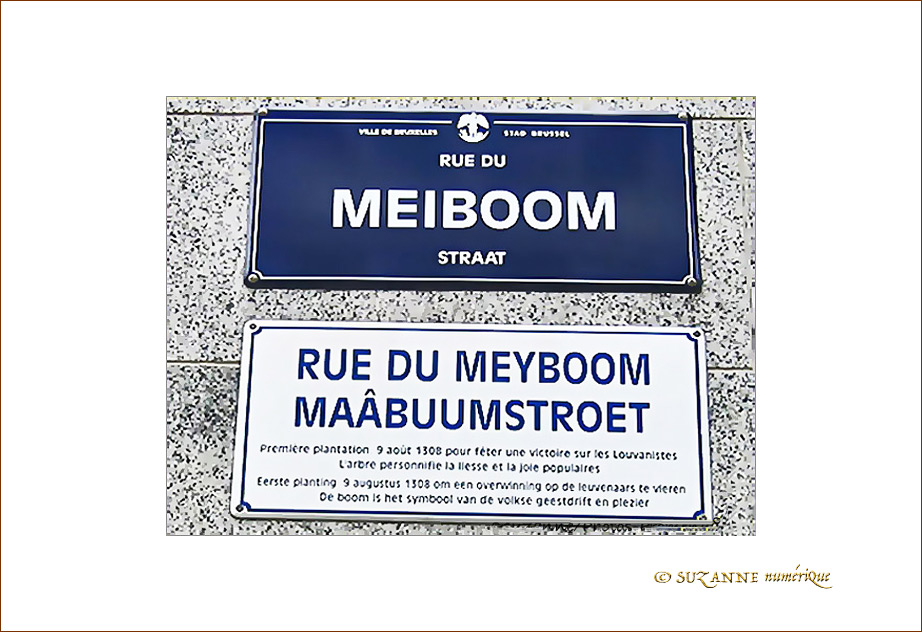 Plaque Rue du Meiboom -- 05/06/09