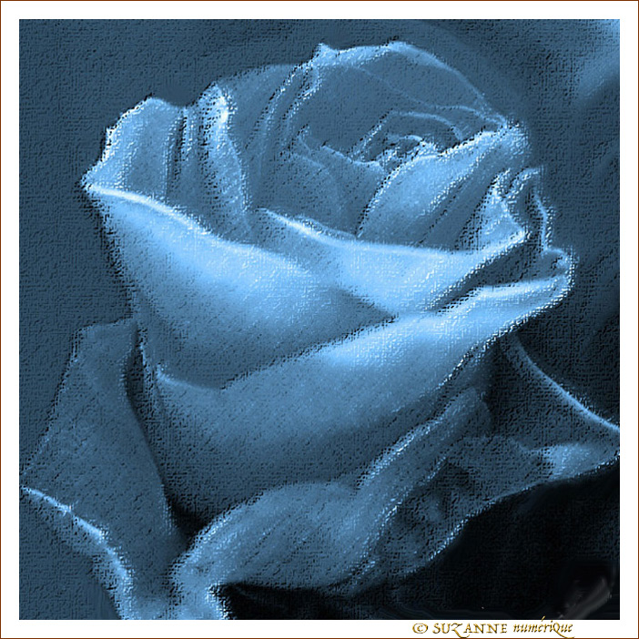 Rose Bleue -- 07/05/12