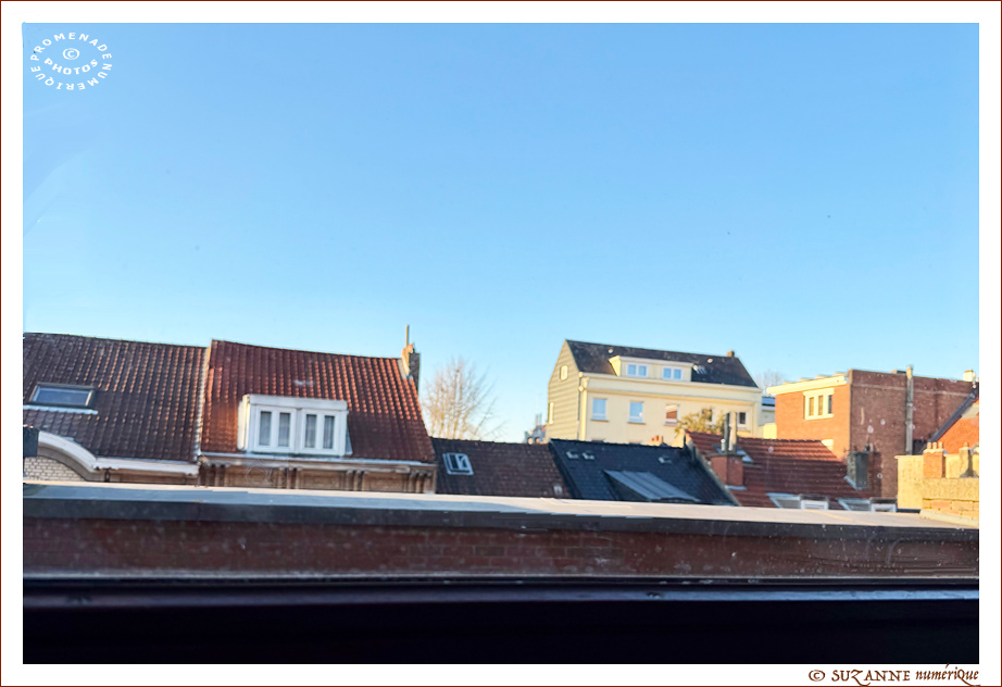 � SUZANNE | TOITS_ARBRES_HIVER_0170