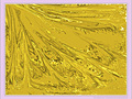 Coul�e jaune -- 07/06/11