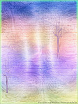 Arbres -- 21/06/06