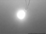 On �teint tout le 28 mars 2009 de 20h30 � 21h30 -- 27/03/09