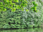 Verte Symphonie -- 20/07/12