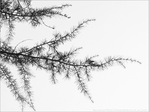 S'�tirer au Vent l�ger -- 23/02/13