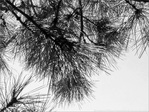 Des �ventails pour dissiper le Brouillard -- 19/02/13