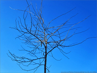 Un p'tit Coup de Soleil