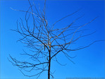 Un p'tit Coup de Soleil -- 12/03/13