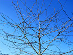 Quand l'Hiver accueille le Soleil -- 14/03/13