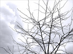 Pas d'un Fil�le 30 Avril� -- 03/05/13