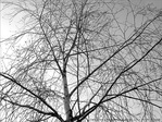Bient�t Blanc comme Neige -- 24/01/13