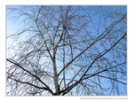 Neige ou Soleil H�sitation 