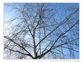 Neige ou Soleil H�sitation  -- 09/03/12