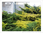 Janvier est bien l� -- 30/01/12