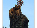 Automne et renouveau -- 08/10/08
