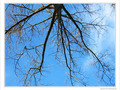 G�ant aux bras tendus -- 12/12/09