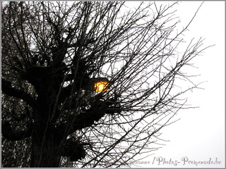 Lumi�re hivernale