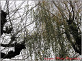 L'un vers l'autre -- 05/12/10