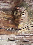 Sous surveillance -- 28/04/12