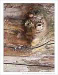 Sous surveillance -- 28/04/12