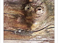 Sous surveillance -- 28/04/12