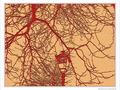 Un r�verb�re illuminait un arbre -- 20/03/10