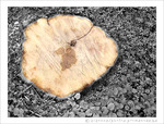 J'en suis sci�e -- 19/01/12
