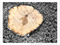 J'en suis sci�e -- 19/01/12