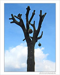 Douceurs pour oiseaux -- 24/03/09