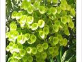 D'or et de soleil ... -- 06/11/04