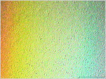 Les couleurs de la Pluie -- 29/03/11