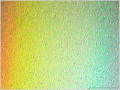 Les couleurs de la Pluie -- 29/03/11