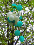 Ballonnier en Fleurs -- 28/06/05