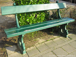 L'hiver en vert -- 26/12/09