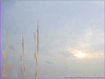 Le ciel est triste et beau comme un grand reposoir -- 20/03/07