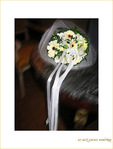 Le Bouquet de la Mariée -- 11/04/07