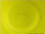 Bouton anis� -- 27/03/07