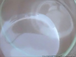 Bulles de verres -- 05/06/08