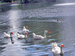 Sous les Fontaines -- 18/06/05