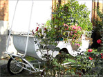 Citrouille deviendra carrosse  -- 13/10/04