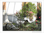 Citrouille deviendra carrosse  -- 13/10/04