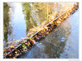 Petite cascade d'automne -- 01/12/09